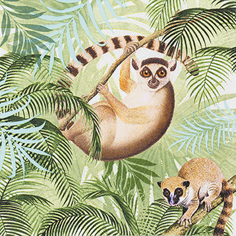 Lemurs