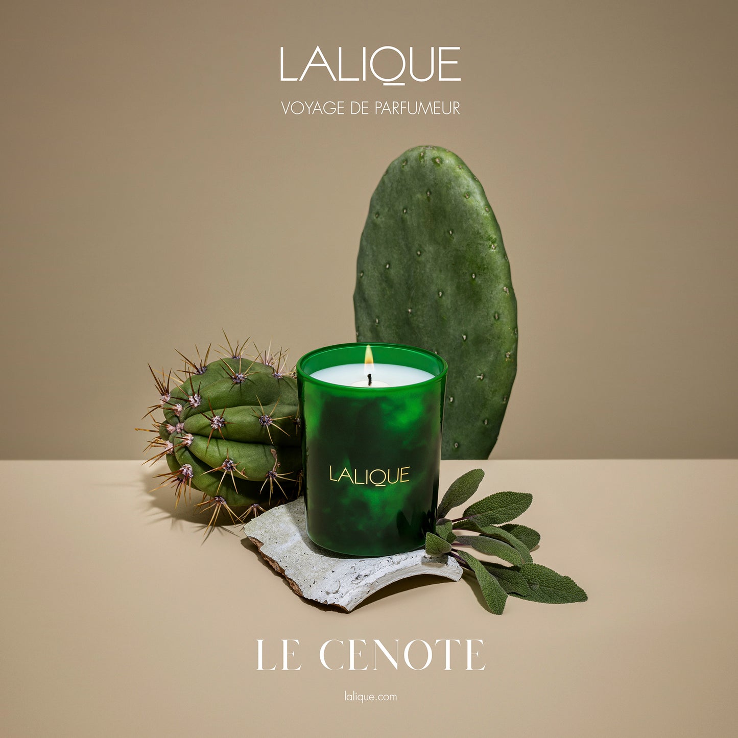 THE CENOTE, TULUM - MEXICO, SCENTED CANDLE